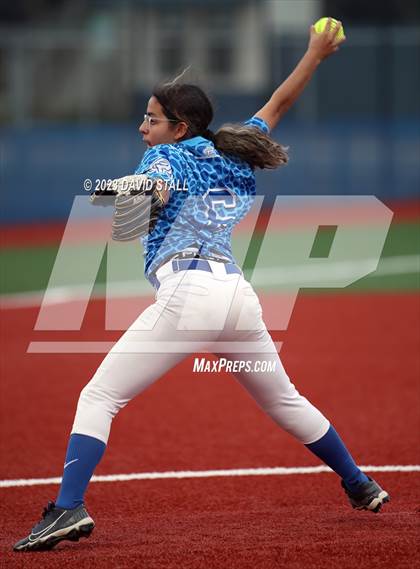 Thumbnail 3 in Grulla @ Port Isabel photogallery.