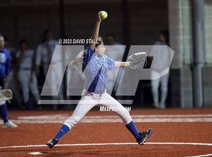 Thumbnail 1 in Grulla @ Port Isabel photogallery.