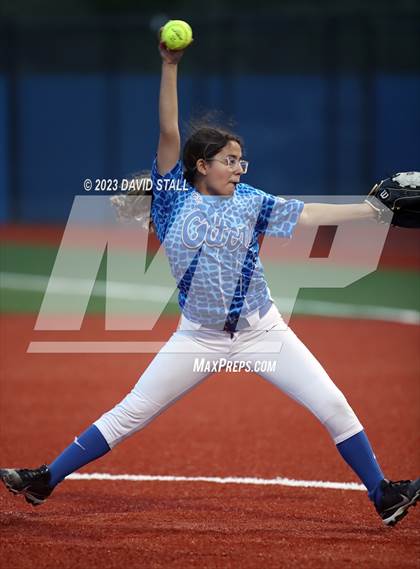 Thumbnail 2 in Grulla @ Port Isabel photogallery.