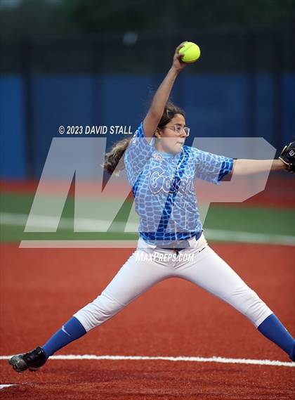 Thumbnail 3 in Grulla @ Port Isabel photogallery.