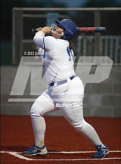 Thumbnail 2 in Grulla @ Port Isabel photogallery.