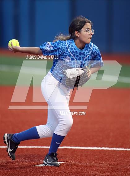 Thumbnail 1 in Grulla @ Port Isabel photogallery.