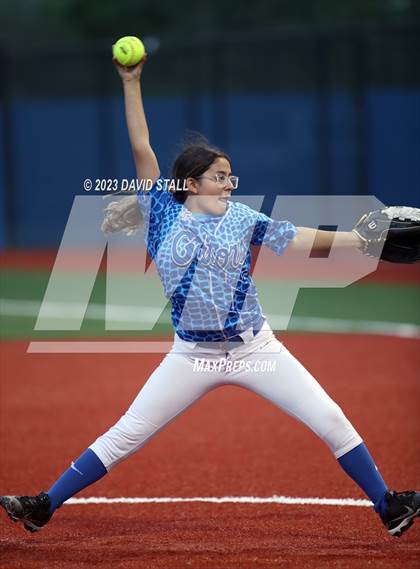 Thumbnail 2 in Grulla @ Port Isabel photogallery.