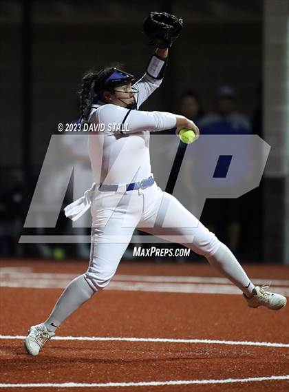 Thumbnail 3 in Grulla @ Port Isabel photogallery.