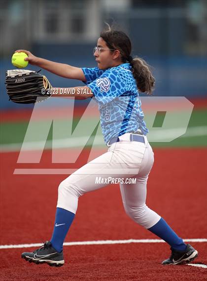 Thumbnail 1 in Grulla @ Port Isabel photogallery.