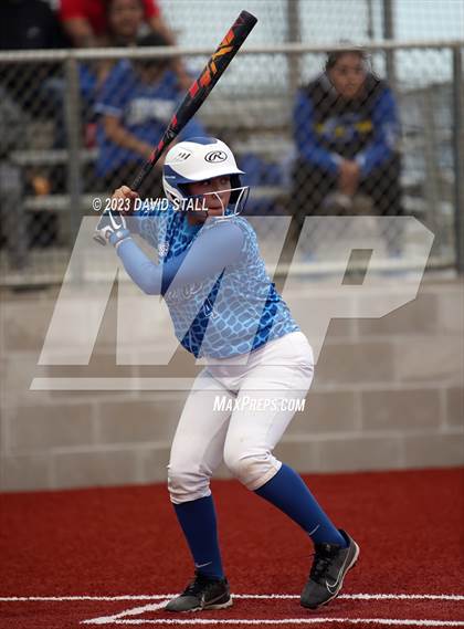 Thumbnail 3 in Grulla @ Port Isabel photogallery.