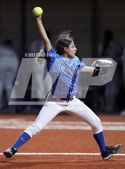 Thumbnail 1 in Grulla @ Port Isabel photogallery.