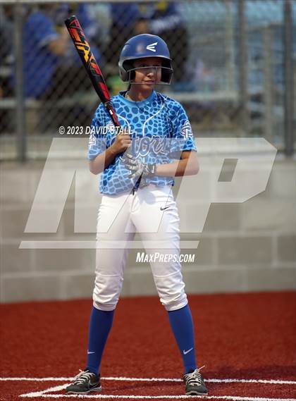 Thumbnail 3 in Grulla @ Port Isabel photogallery.
