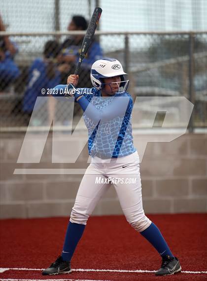 Thumbnail 2 in Grulla @ Port Isabel photogallery.