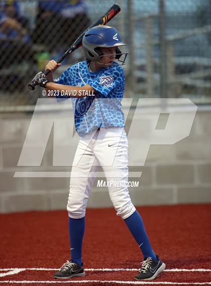 Thumbnail 1 in Grulla @ Port Isabel photogallery.