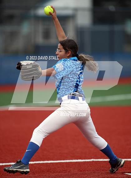 Thumbnail 2 in Grulla @ Port Isabel photogallery.