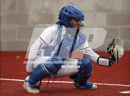 Thumbnail 3 in Grulla @ Port Isabel photogallery.