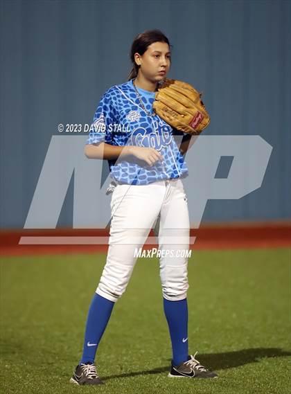 Thumbnail 3 in Grulla @ Port Isabel photogallery.