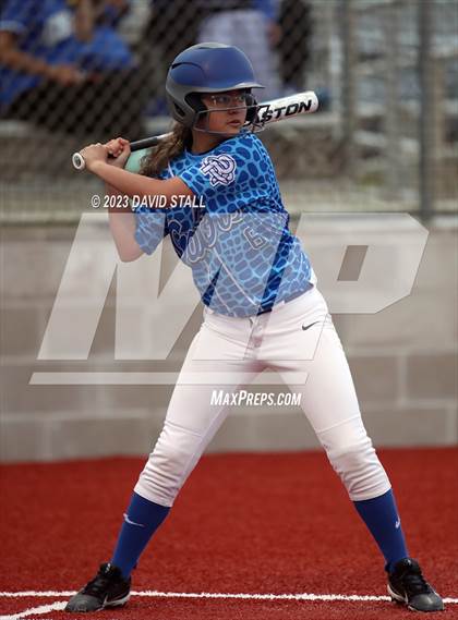 Thumbnail 3 in Grulla @ Port Isabel photogallery.