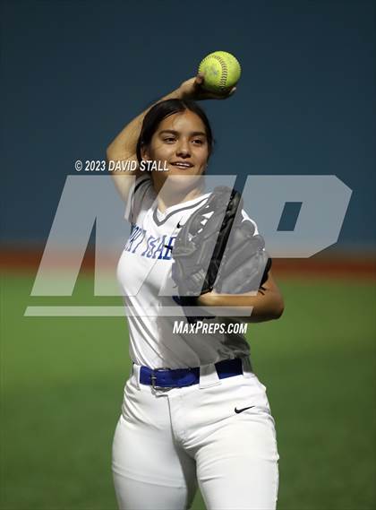 Thumbnail 2 in Grulla @ Port Isabel photogallery.