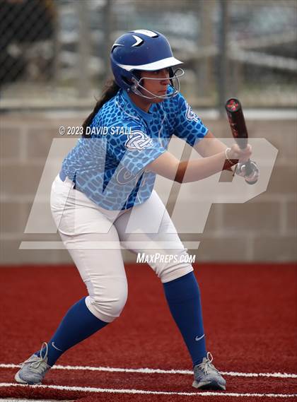 Thumbnail 3 in Grulla @ Port Isabel photogallery.