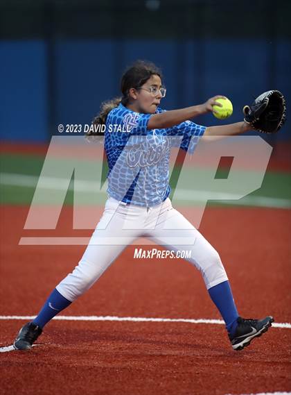 Thumbnail 1 in Grulla @ Port Isabel photogallery.