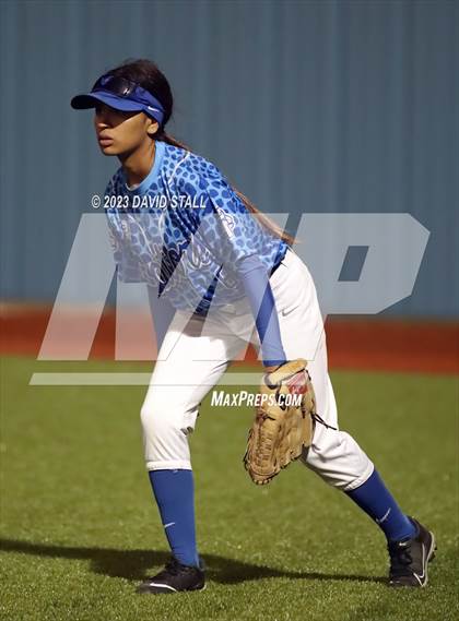 Thumbnail 3 in Grulla @ Port Isabel photogallery.