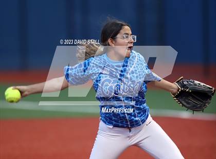 Thumbnail 3 in Grulla @ Port Isabel photogallery.