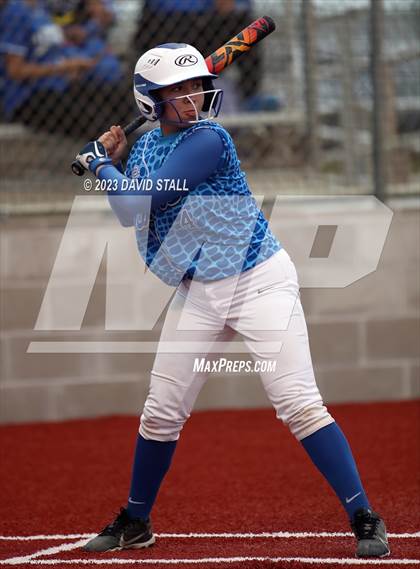 Thumbnail 1 in Grulla @ Port Isabel photogallery.
