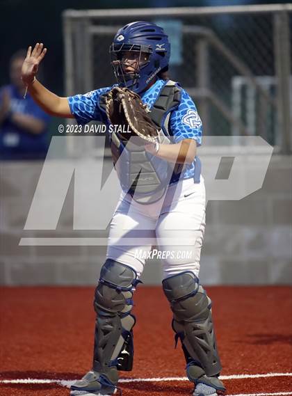 Thumbnail 2 in Grulla @ Port Isabel photogallery.