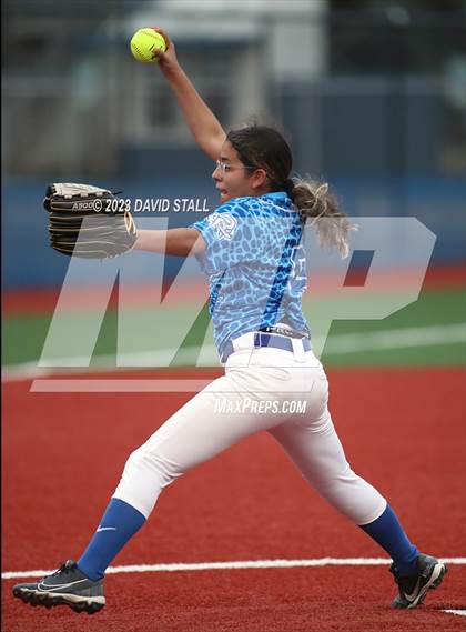 Thumbnail 1 in Grulla @ Port Isabel photogallery.