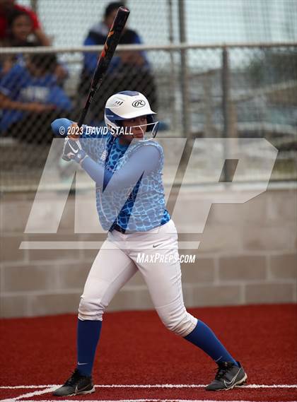 Thumbnail 2 in Grulla @ Port Isabel photogallery.