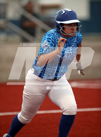 Thumbnail 1 in Grulla @ Port Isabel photogallery.