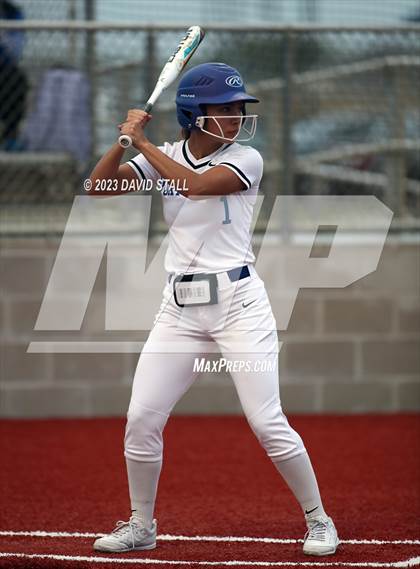 Thumbnail 2 in Grulla @ Port Isabel photogallery.