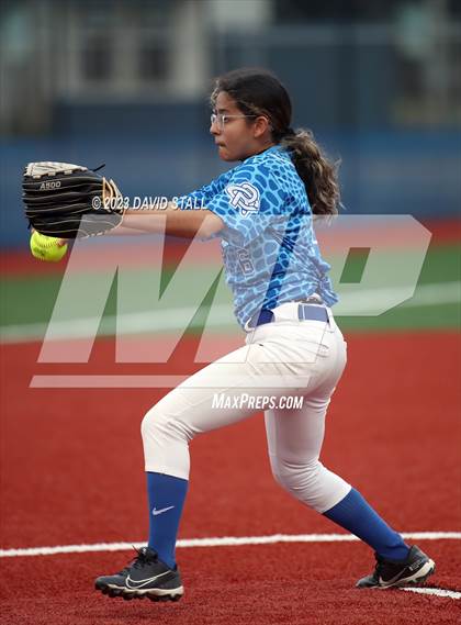 Thumbnail 1 in Grulla @ Port Isabel photogallery.