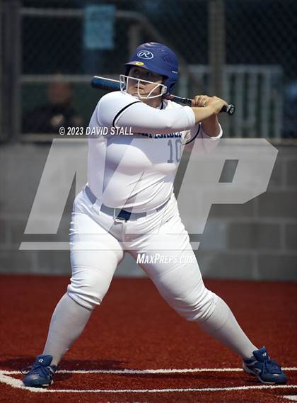 Thumbnail 2 in Grulla @ Port Isabel photogallery.