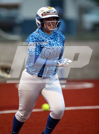 Thumbnail 3 in Grulla @ Port Isabel photogallery.