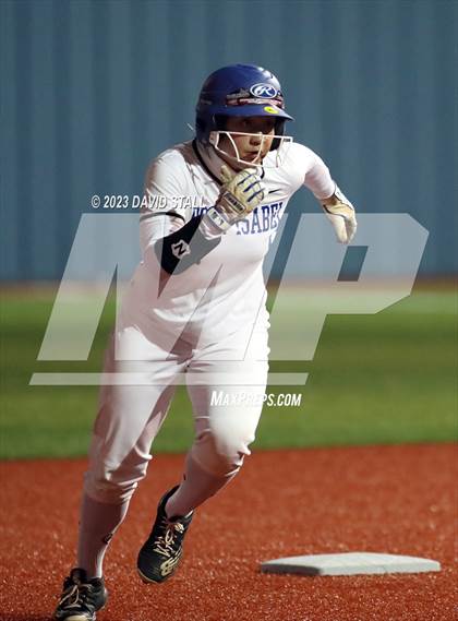 Thumbnail 2 in Grulla @ Port Isabel photogallery.