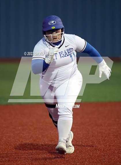 Thumbnail 3 in Grulla @ Port Isabel photogallery.