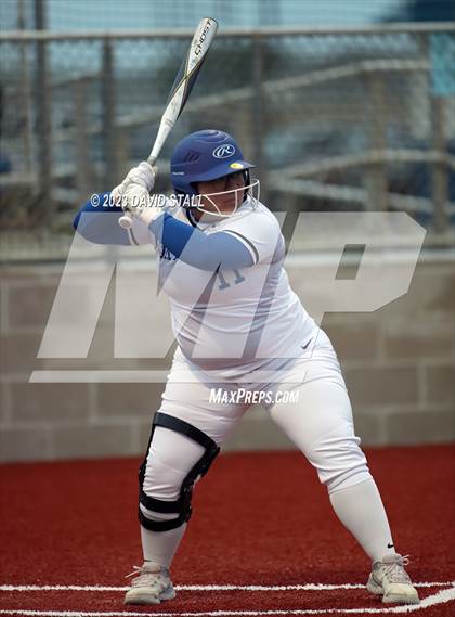 Thumbnail 3 in Grulla @ Port Isabel photogallery.