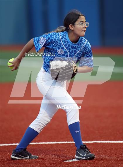 Thumbnail 2 in Grulla @ Port Isabel photogallery.