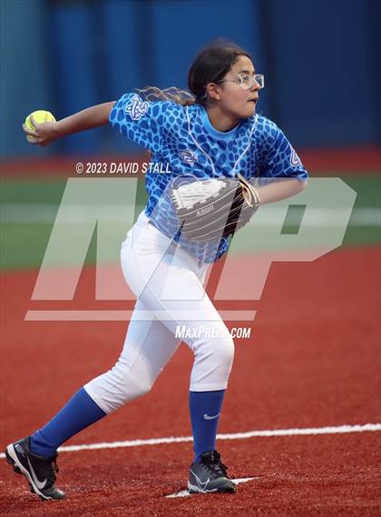 Thumbnail 1 in Grulla @ Port Isabel photogallery.