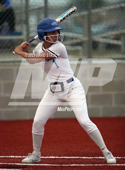 Thumbnail 3 in Grulla @ Port Isabel photogallery.