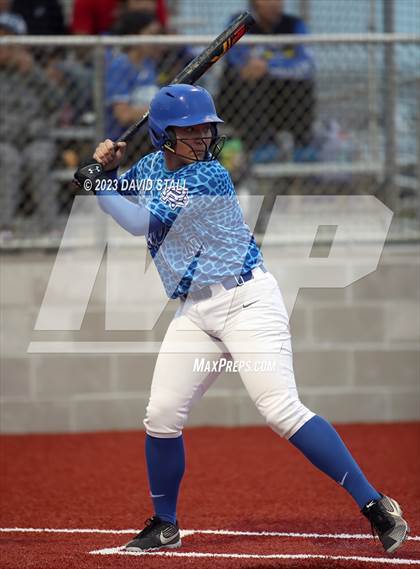 Thumbnail 3 in Grulla @ Port Isabel photogallery.