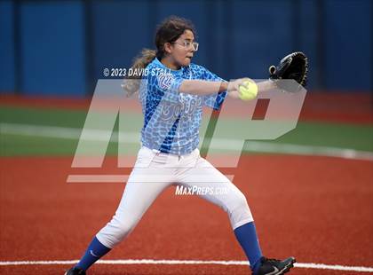 Thumbnail 2 in Grulla @ Port Isabel photogallery.