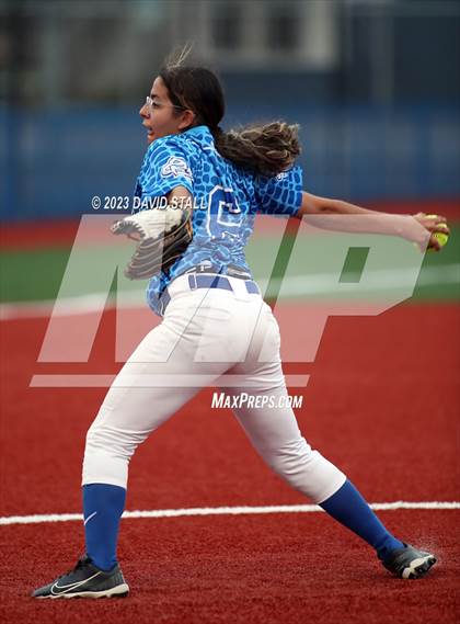 Thumbnail 3 in Grulla @ Port Isabel photogallery.
