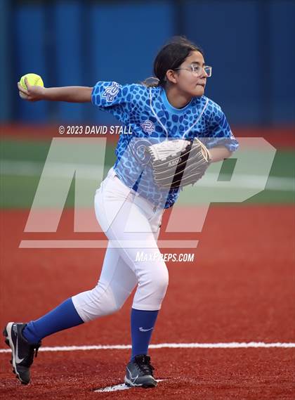 Thumbnail 1 in Grulla @ Port Isabel photogallery.