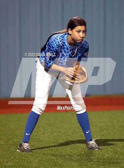 Thumbnail 1 in Grulla @ Port Isabel photogallery.