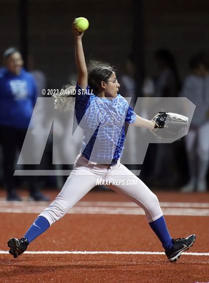 Thumbnail 3 in Grulla @ Port Isabel photogallery.