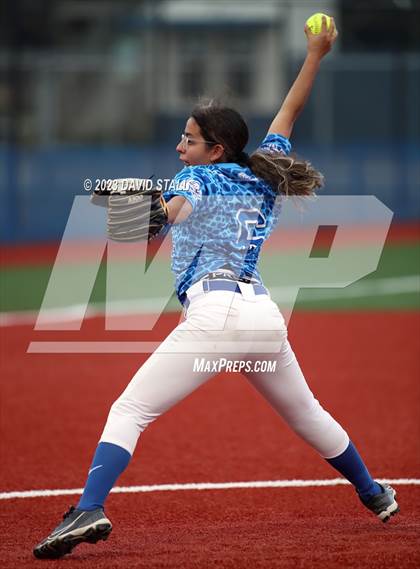 Thumbnail 2 in Grulla @ Port Isabel photogallery.
