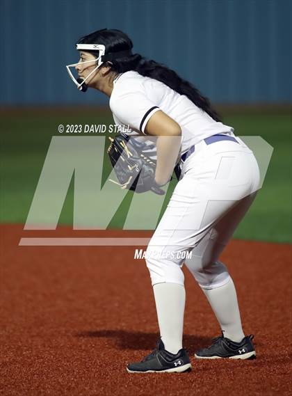 Thumbnail 1 in Grulla @ Port Isabel photogallery.