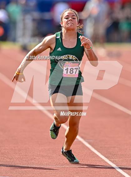 Thumbnail 1 in IHSAA Finals (100 Meter)  photogallery.