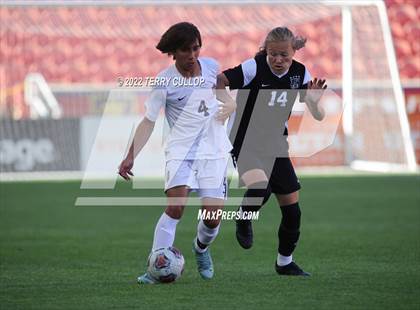 Thumbnail 1 in Davis vs. Herriman (UHSAA 6A Final) photogallery.