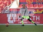 Photo from the gallery "Davis vs. Herriman (UHSAA 6A Final)"