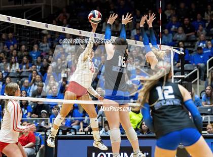 Thumbnail 2 in Bellville vs. Decatur (UIL 4A Volleyball Division I Final) photogallery.